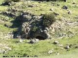 Cueva Baja de la Paraisa. 