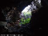 Cueva de El Mansegoso. 