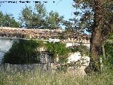 Cortijo del Puerto del Castillo. 