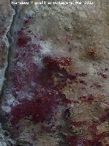 Pinturas rupestres de la Cueva de los Herreros Grupo XI. Mancha sobre el ciervo