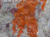 Pinturas rupestres de la Cueva de los Herreros Grupo XI. Cnido tapado por el vandalismo con espray de pintura naranja