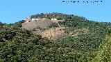 Cerro El Mirador. 