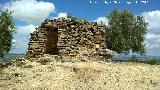 Caracol del Cerro Romano. 