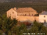 Cortijo Bajo de Torrealczar. 