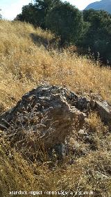 Castillo de la Yedra. Lnea de muralla