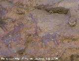 Pinturas rupestres de la Cueva del Engarbo I. Grupo II. Panel VII. Arquero disparando a un toro