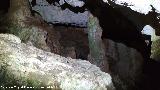 Cueva neoltica de los Corzos. 