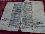 Historia de Jan. Judera. Cometa de 1490. Archivo Histrico Provincial de Jan