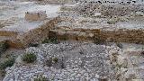 Excavacin arqueolgica de Simago. Posible patn de una almazara