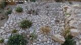 Excavacin arqueolgica de Simago. 
