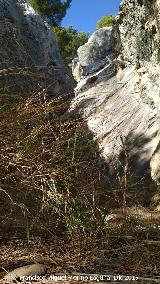 Callej�n del Cerro de Santa Catalina. 