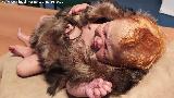 PaleoM�gina. Beb� neandertal