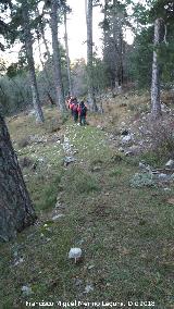 Camino viejo de Valdetrillo. 