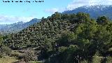 Cerro Molina. Desde el Mirador Caada Morales