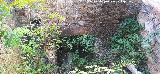 Estaci�n del Cable del Centenillo. 
