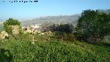 Cortijo de Crdoba. 