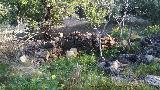 Cortijo de Crdoba. Muro