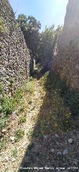 Barrio Nazar�. Calle