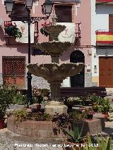 Fuente de la Plaza. 