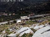 Calera de la Pea. Desde arriba