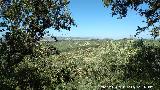 Yacimiento Cabeza del Moro. Vistas hacia La Mota