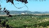 Yacimiento Cabeza del Moro. Vistas hacia La Mota