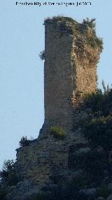Castillo de la Costurera. Torre semicircular