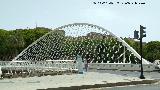 Puente del Hospital. 
