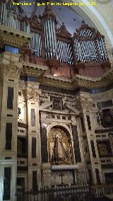 Catedral de Santa Mara. rgano. Sobre el Trascoro