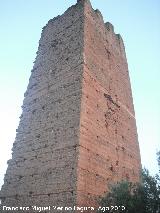 Torre Sur de Santa Catalina. 