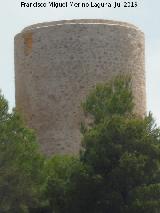 Molinos de Viento de Pedreguer. El grande
