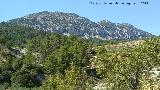 El Moll. 