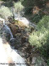 Cascada del Molinete. Paraje de cascadas