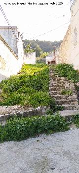 Cantera de la Granja. 