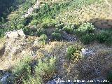 Aldea medieval de La Espinareda. En primer trmino las ruinas de la aldea medieval y al fondo la nueva aldea de La Espinareda