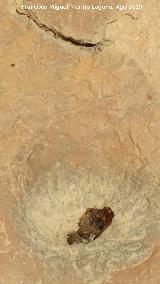 Pinturas rupestres y cazoletas Abrigo Trepada del Clarillo III. Cazoleta