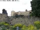 La Mota. Muralla del Arrabal Viejo. Lienzo extramuros entre el torren IV y V. Al fondo la muralla de La Mota