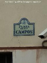 Plaza de los Campos. Placa