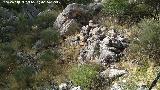 Yacimiento del Cerro de la Condesa. 