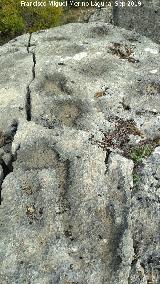 Yacimiento del Cerro de la Condesa. Posibles cazoletas