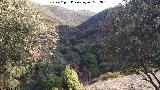 Arroyo de los Calderones