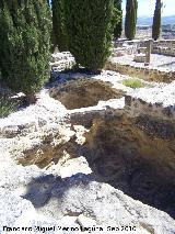 La Mota. Barrio Noble. Bodega excavada en la piedra