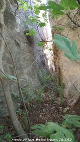 Aprisco de la Ladera de la Veleta. Paso
