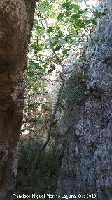 Aprisco de la Ladera de la Veleta. 