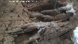 Aprisco de la Ladera de la Veleta. 