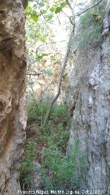 Aprisco de la Ladera de la Veleta. Paso