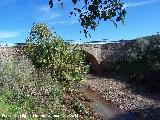 Puente de Linares. 