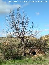 Aljibe de San Torcuato. 