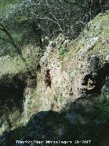 Castillo de la Yedra. Muralla