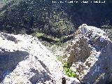 Castillo de Susana. Altura